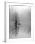 Lake Trees in Winter Fog-Nicholas Bell-Framed Photographic Print