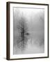 Lake Trees in Winter Fog-Nicholas Bell-Framed Photographic Print