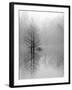 Lake Trees in Winter Fog-Nicholas Bell-Framed Photographic Print