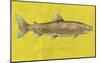 Lake Trout-John Golden-Mounted Art Print