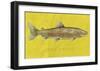 Lake Trout-John Golden-Framed Giclee Print