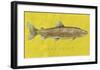 Lake Trout-John Golden-Framed Giclee Print