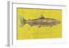 Lake Trout-John Golden-Framed Giclee Print