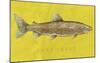 Lake Trout-John Golden-Mounted Giclee Print