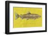 Lake Trout-John W^ Golden-Framed Art Print