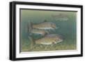 Black Frame