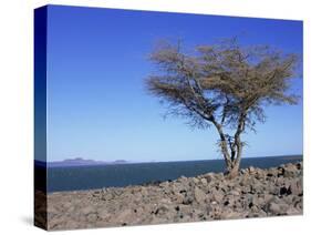 Lake Turkana, Kenya, East Africa, Africa-Storm Stanley-Stretched Canvas
