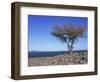 Lake Turkana, Kenya, East Africa, Africa-Storm Stanley-Framed Photographic Print