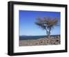 Lake Turkana, Kenya, East Africa, Africa-Storm Stanley-Framed Photographic Print