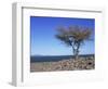 Lake Turkana, Kenya, East Africa, Africa-Storm Stanley-Framed Photographic Print