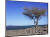 Lake Turkana, Kenya, East Africa, Africa-Storm Stanley-Mounted Photographic Print