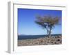 Lake Turkana, Kenya, East Africa, Africa-Storm Stanley-Framed Photographic Print