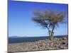 Lake Turkana, Kenya, East Africa, Africa-Storm Stanley-Mounted Photographic Print