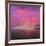 Lake Ullswater Atr Dawn-Adrian Campfield-Framed Giclee Print