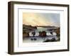 Lake Victoria Nyanza, C1840-1900-null-Framed Giclee Print