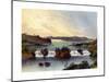 Lake Victoria Nyanza, C1840-1900-null-Mounted Giclee Print