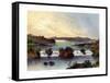 Lake Victoria Nyanza, C1840-1900-null-Framed Stretched Canvas