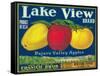 Lake View Apple Label - Watsonville, CA-Lantern Press-Framed Stretched Canvas