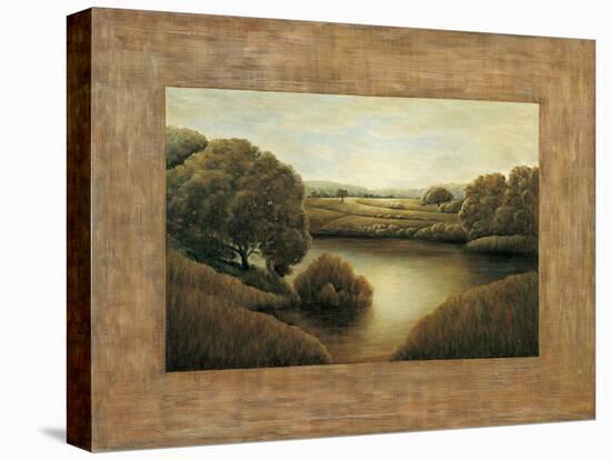 Lake View II-Samuel Blanco-Stretched Canvas