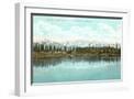 White Frame