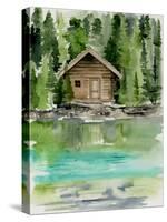 Lake Views II-Jennifer Paxton Parker-Stretched Canvas