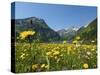 Lake Vilsalpsee, Tannheim Valley, Austria-Katja Kreder-Stretched Canvas