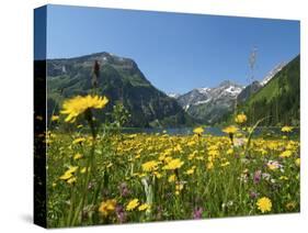 Lake Vilsalpsee, Tannheim Valley, Austria-Katja Kreder-Stretched Canvas