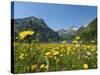 Lake Vilsalpsee, Tannheim Valley, Austria-Katja Kreder-Stretched Canvas