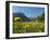 Lake Vilsalpsee, Tannheim Valley, Austria-Katja Kreder-Framed Photographic Print