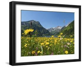 Lake Vilsalpsee, Tannheim Valley, Austria-Katja Kreder-Framed Photographic Print