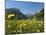 Lake Vilsalpsee, Tannheim Valley, Austria-Katja Kreder-Mounted Photographic Print