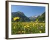 Lake Vilsalpsee, Tannheim Valley, Austria-Katja Kreder-Framed Photographic Print