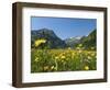 Lake Vilsalpsee, Tannheim Valley, Austria-Katja Kreder-Framed Photographic Print