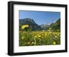 Lake Vilsalpsee, Tannheim Valley, Austria-Katja Kreder-Framed Photographic Print