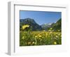 Lake Vilsalpsee, Tannheim Valley, Austria-Katja Kreder-Framed Photographic Print