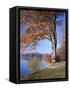 Lake, Virginia Water, Windsor Great Park, Berkshire, England, United Kingdom-Roy Rainford-Framed Stretched Canvas