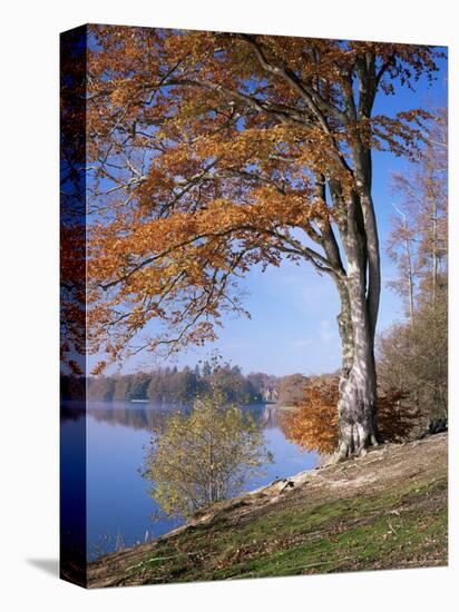 Lake, Virginia Water, Windsor Great Park, Berkshire, England, United Kingdom-Roy Rainford-Stretched Canvas