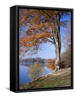 Lake, Virginia Water, Windsor Great Park, Berkshire, England, United Kingdom-Roy Rainford-Framed Stretched Canvas