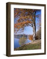 Lake, Virginia Water, Windsor Great Park, Berkshire, England, United Kingdom-Roy Rainford-Framed Photographic Print