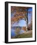 Lake, Virginia Water, Windsor Great Park, Berkshire, England, United Kingdom-Roy Rainford-Framed Photographic Print