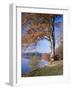 Lake, Virginia Water, Windsor Great Park, Berkshire, England, United Kingdom-Roy Rainford-Framed Photographic Print