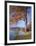 Lake, Virginia Water, Windsor Great Park, Berkshire, England, United Kingdom-Roy Rainford-Framed Photographic Print