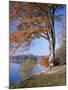 Lake, Virginia Water, Windsor Great Park, Berkshire, England, United Kingdom-Roy Rainford-Mounted Photographic Print