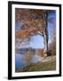 Lake, Virginia Water, Windsor Great Park, Berkshire, England, United Kingdom-Roy Rainford-Framed Photographic Print