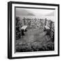 Lake Vista II-Alan Blaustein-Framed Photographic Print
