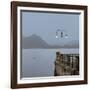 Lake Vista VI-Alan Blaustein-Framed Photographic Print