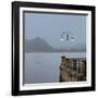 Lake Vista VI-Alan Blaustein-Framed Photographic Print