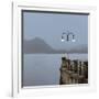 Lake Vista VI-Alan Blaustein-Framed Photographic Print