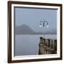 Lake Vista VI-Alan Blaustein-Framed Photographic Print