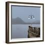 Lake Vista VI-Alan Blaustein-Framed Photographic Print